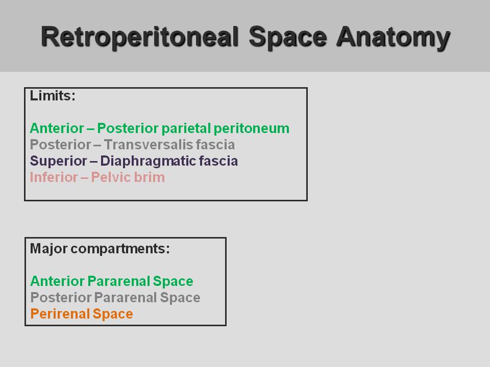 retroperitoneal space